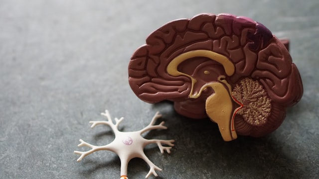 Mozková obrna a špatný vývoj mozku